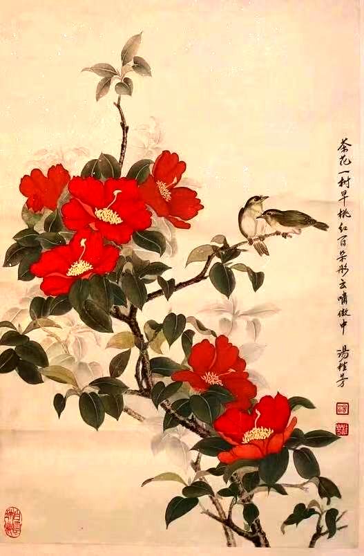 Camellia