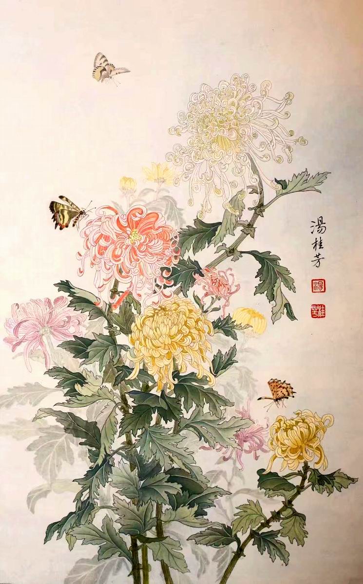 Chrysanthemum
