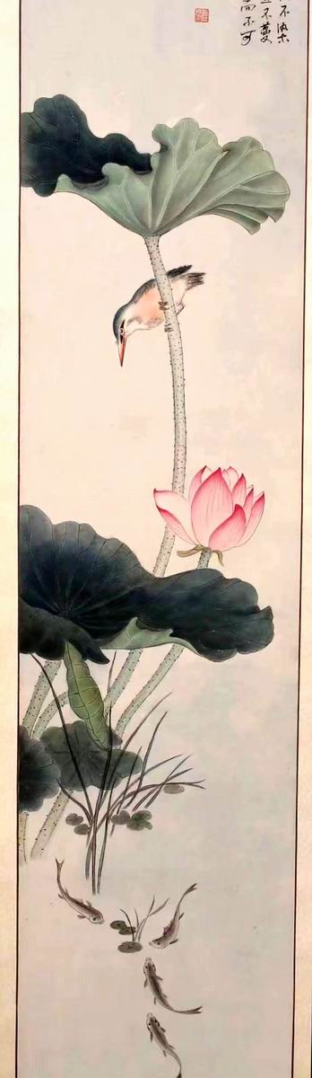 Lotus 荷花