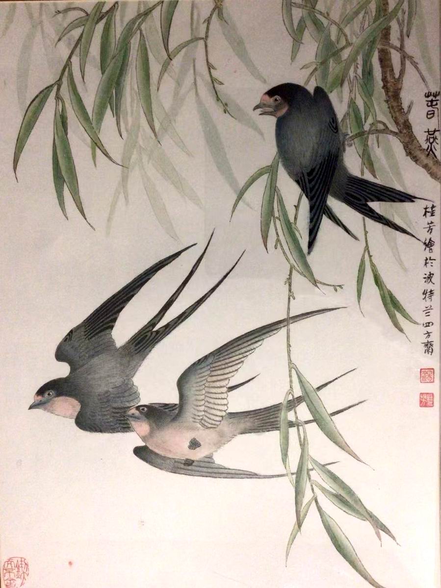 Spring Swallow
