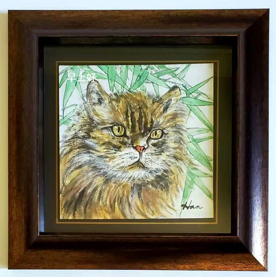 Cat 猫
